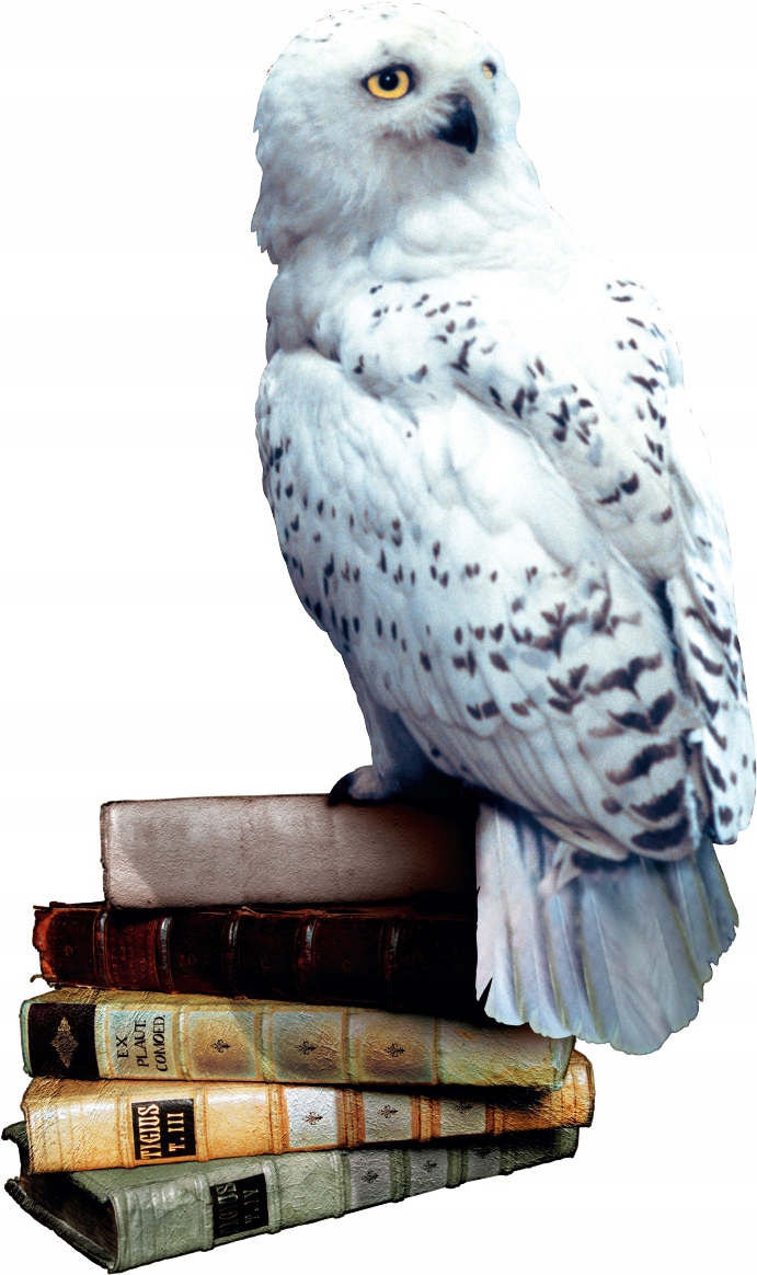 Spoločenská hra Harry Potter a rebelský čitateľ myšlienok